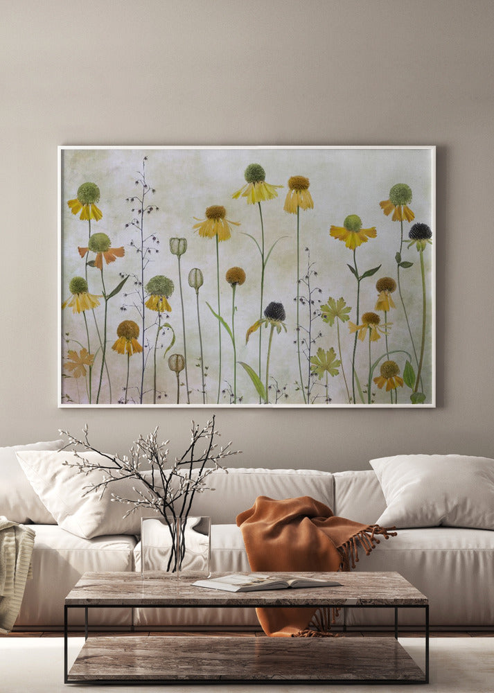 Helenium Poster