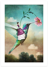 The Hummingbird Poster