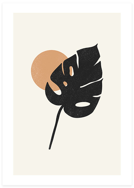 Minimalistisk botanisk poster av ett svart monstera blad i beige bakgrund, influerat av bohemisk design av studio spruce