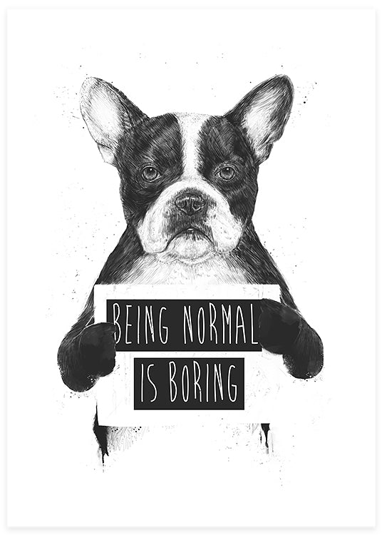 Being Normal Is Boring Poster