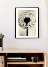 Dandelion Poster